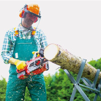 Einhell Power X-Change Akku-Kettensäge Motorsäge GE-LC 18 Li Solo gebraucht