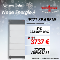 NEUJAHR AKTION ! BYD Speicherpaket Batte gallery