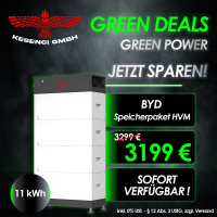GREEN DEALS ! BYD Speicherpaket Batteriespeic