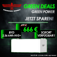 GREEN DEALS ! BYD Speichermodul Batteriespeic