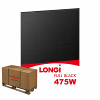 Palettenabnahme LONGi EcoLife 475W Solarmodul