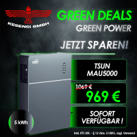GREEN DEALS ! TSUN AC Batteriespeicher All In