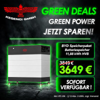 GREEN DEALS ! BYD Speicherpaket Batterie gallery