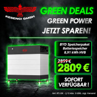 GREEN DEALS ! BYD Speicherpaket Batterie gallery