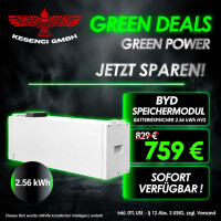GREEN DEALS ! BYD Speichermodul Batterie gallery