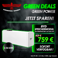 GREEN DEALS ! BYD Speichermodul Batterie gallery